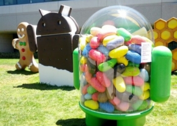 Android Jelly Bean statue