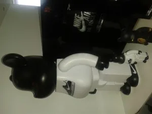 SGSMiniCam1