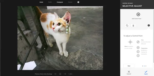 Google Photo Selective Adjust