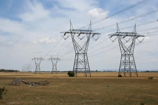 I know those are power cables.
