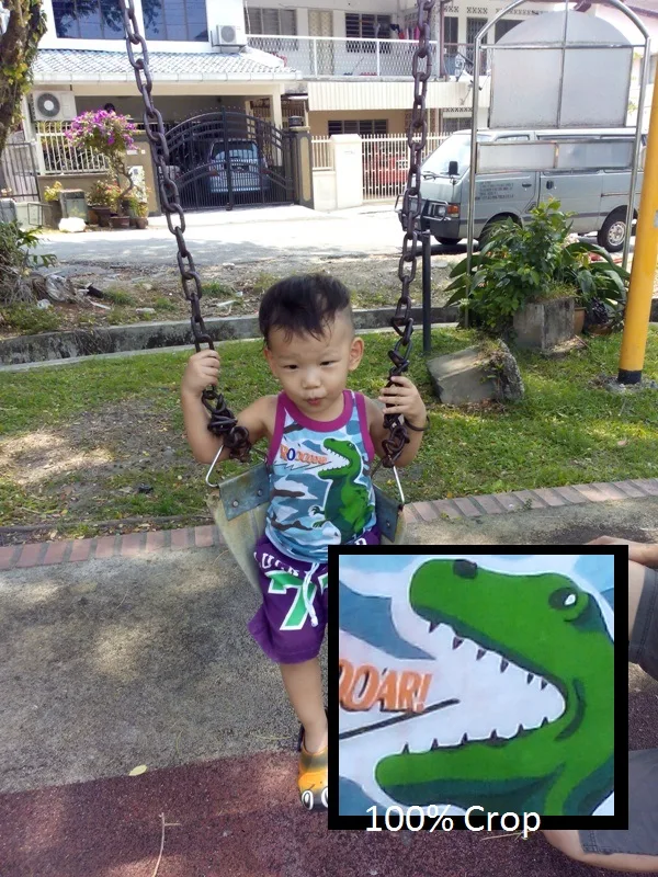 Outdoor Swing - Copy