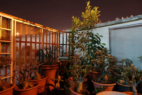 Night Outdoor QX100 copy