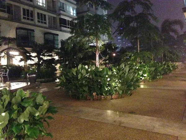 Night iPhone 5 vs QX10 SMALL