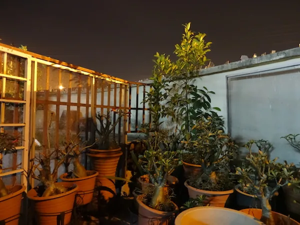 QX10 Night SMALL