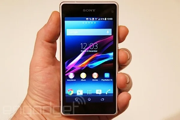 SONY DSC