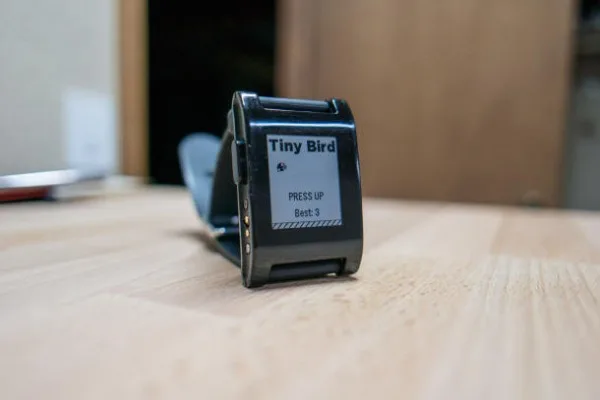 Tiny Bird Cnet