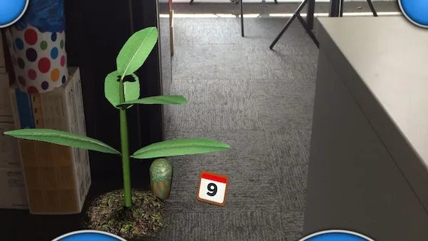 watch the caterpillar metamorphosis to a butterfly