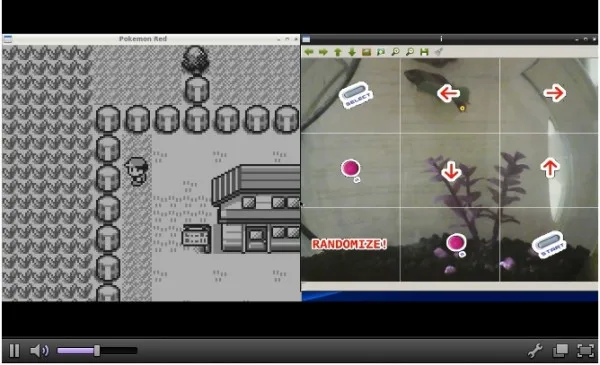 FishPlaysPokemon