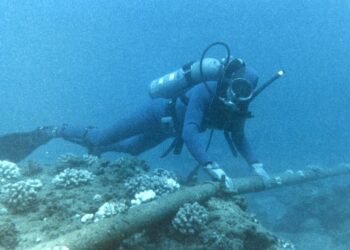 Undersea fibre optic cables cabotage
