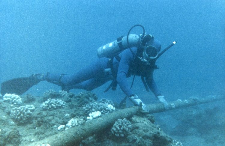 Undersea fibre optic cables cabotage