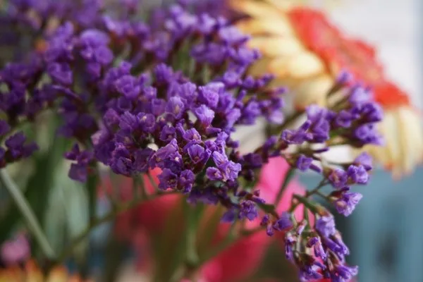 sony-a5100-sample-image-1-screenshot
