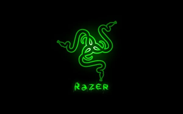 razer cover