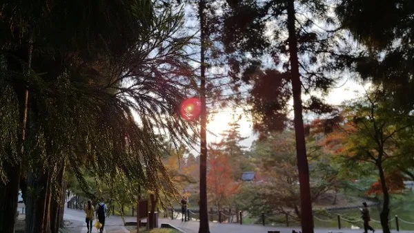 samsung-galaxy-note-4-sample-image-10-screenshot