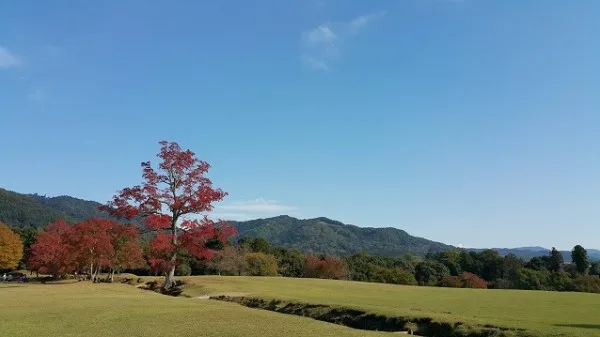 samsung-galaxy-note-4-sample-image-9-screenshot