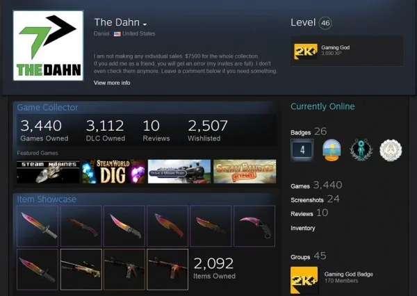 the-dahn-cs-go-inventory