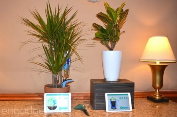 Parrot H20 and Parrot Pot
