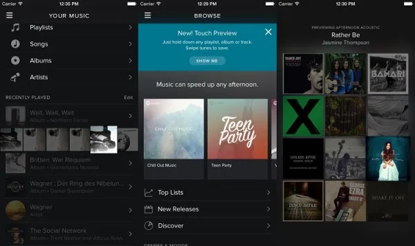 Spotify Touch Preview