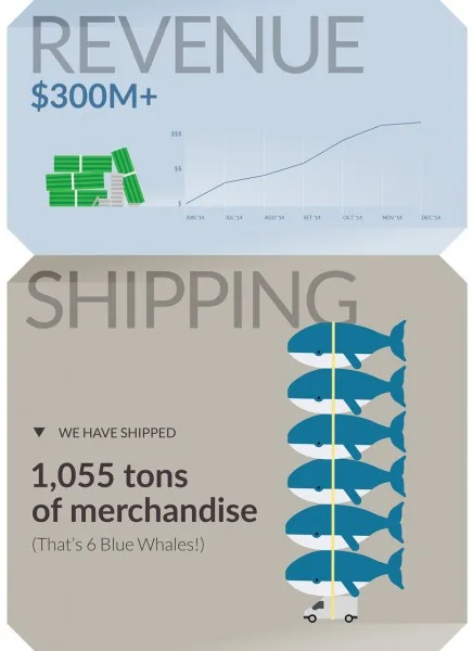 OnePlus Annual Report Revenue and Shipping