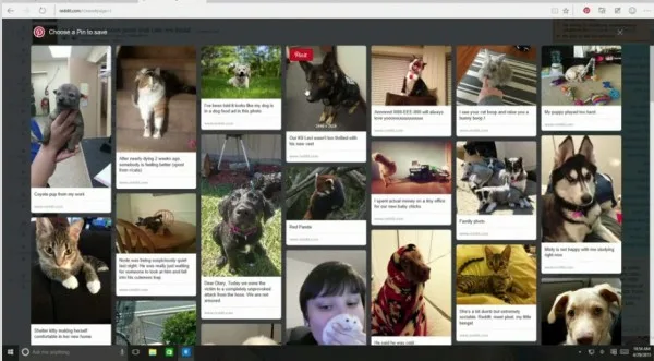 Microsoft Edge Web Extension