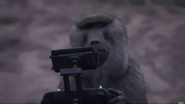monkey-flying-drone
