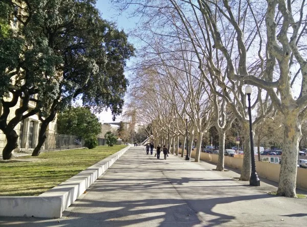 oneplus-one-sample-image-10