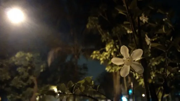 BlackBerry Leap Night No Flash