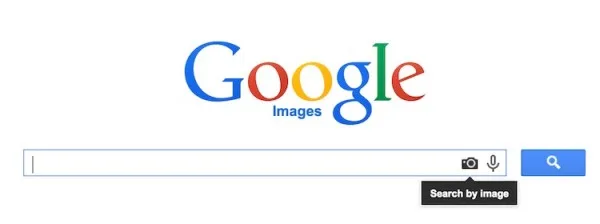 Google Reverse Image Search