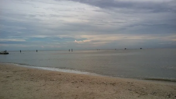HTC One M9 Plus Camera Sample Outdoor 4 SMALL