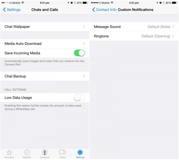 WhatsApp iOS Custom Notifications and Low Data Calls