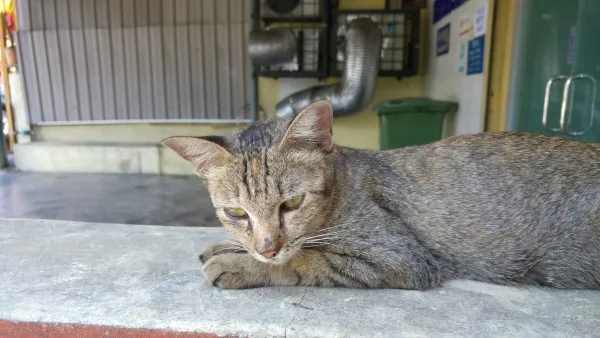 lg-g4-sample-image-5