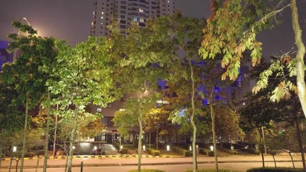 lg-g4-sample-image-6