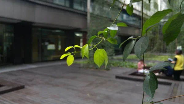 lg-g4-sample-image-7