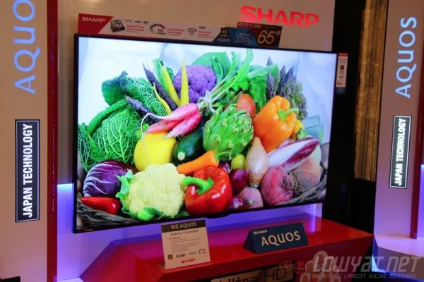sharp-new-tv-launch-2015-5