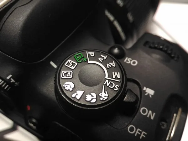 ASUS ZenFone Selfie Rear Camera - Sample 3