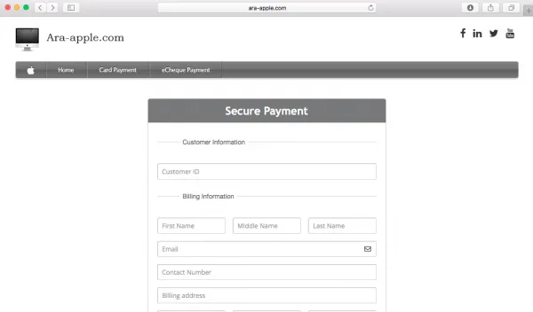 Fake Apple Payment Site