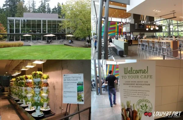 Microsoft Redmond Campus Tour Part 2 02