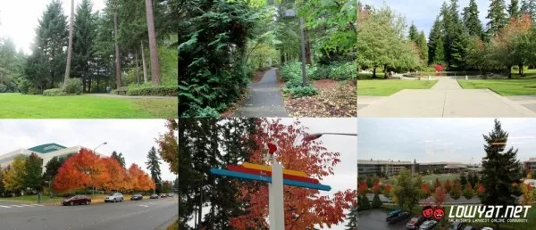 Microsoft Redmond Campus Tour Part 2 06