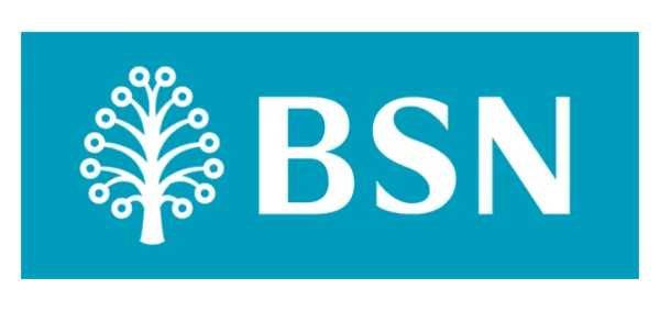 BSN Logo