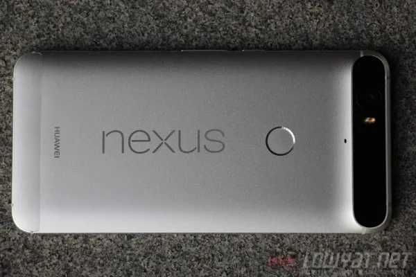 nexus-evolution-article-13