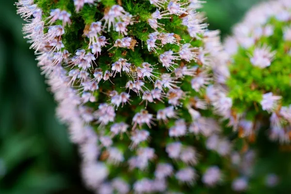 sony-a7r-ii-sample-image-7