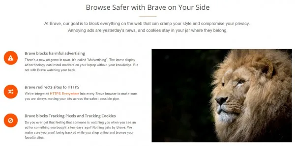brave details
