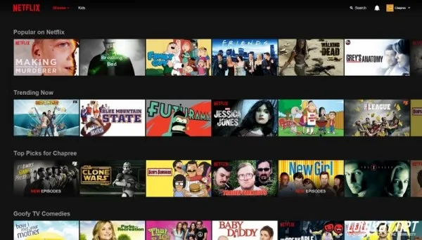netflixus (800x456)