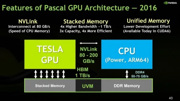 pascal details