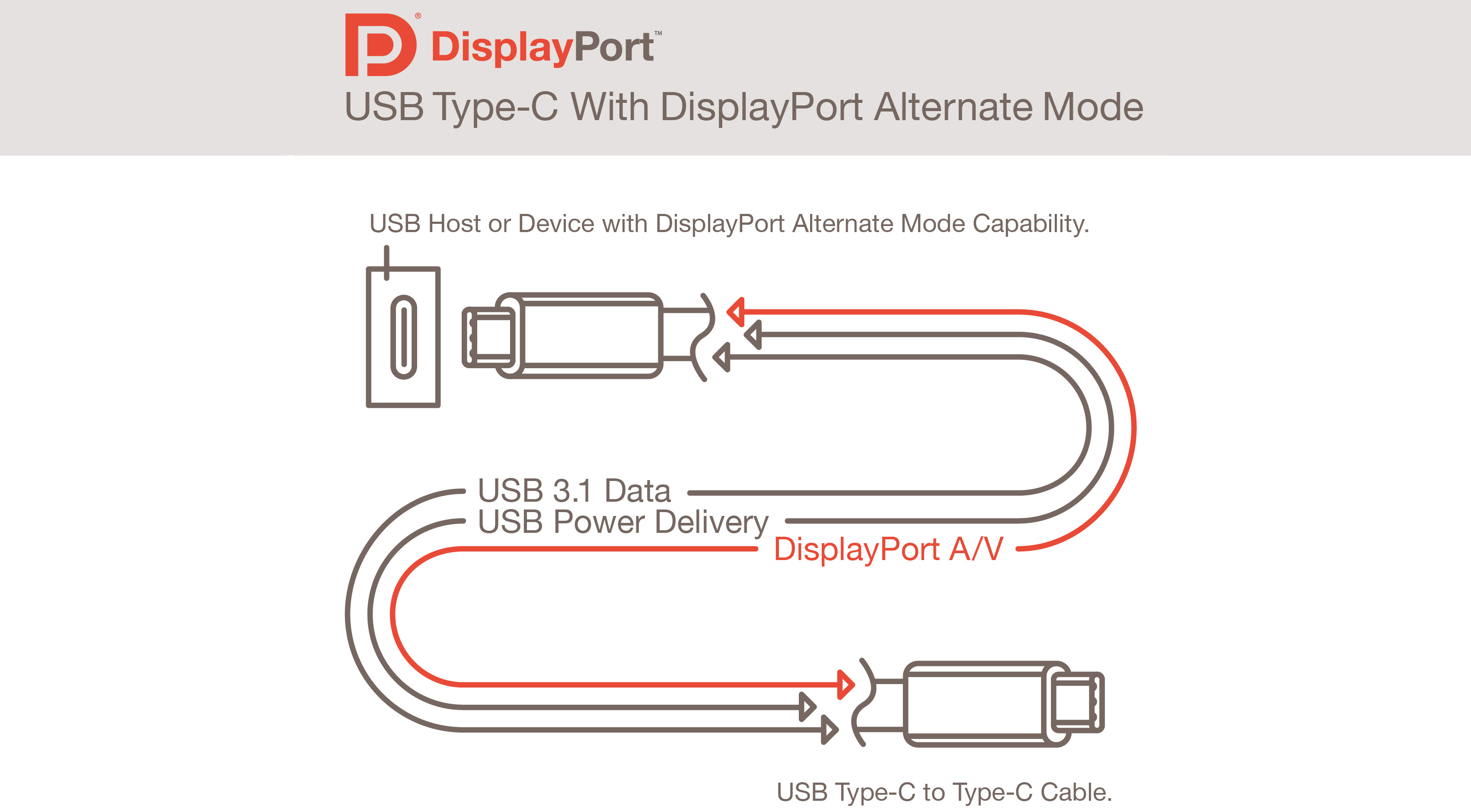 DisplayPort 1.4 Type C