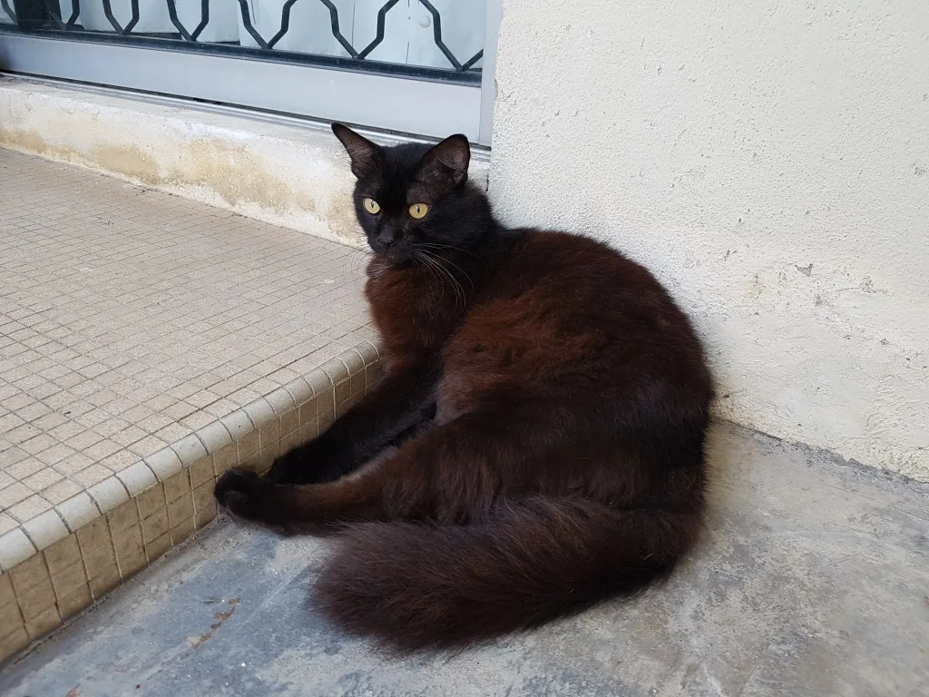 samsung-galaxy-s7-edge-camera-sample-11