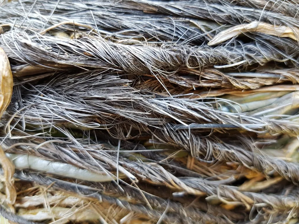 s7-edge-cam-comparison-6