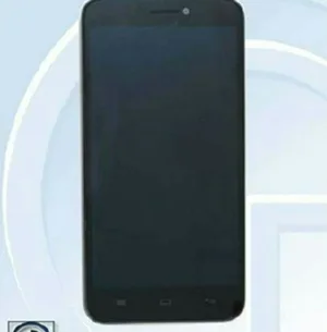 The Baili 100C