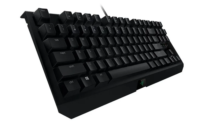 razer-blackwidow-x-te-2