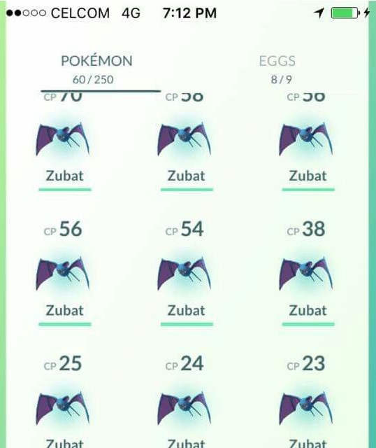 Pokemon Go All The Zubat