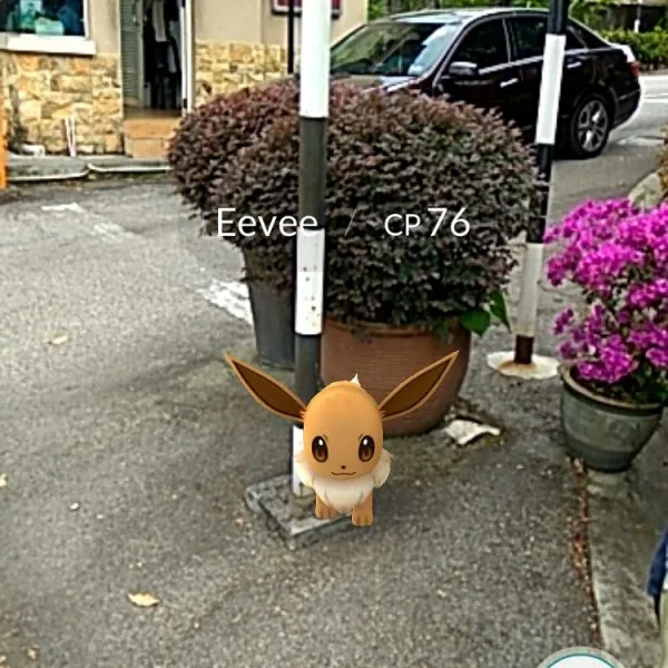 Pokemon Go Eevee
